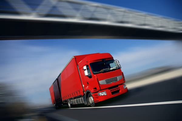 Verlade- und Ablieferscanning in der Blumengroßhandel / Blumengeschäft