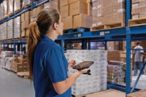 Article management Software Versandhandel COSYS